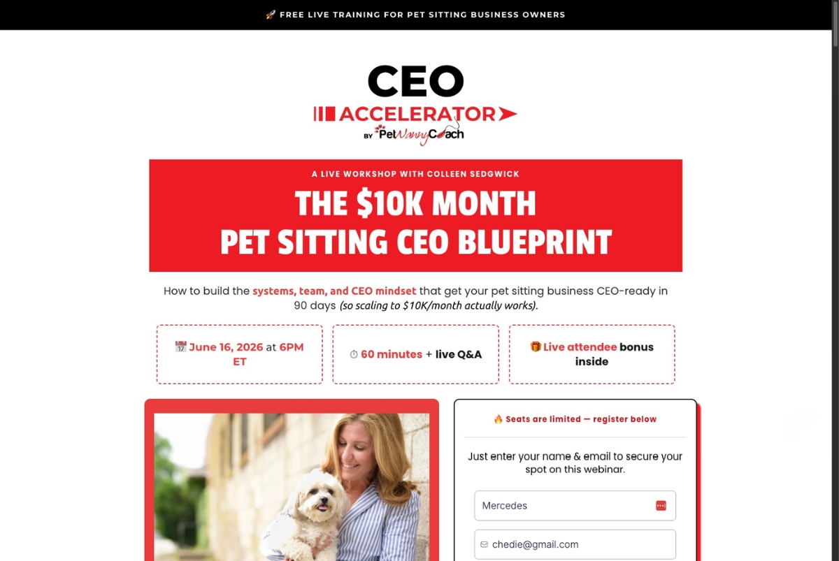 CEO Accelerator thumbnail