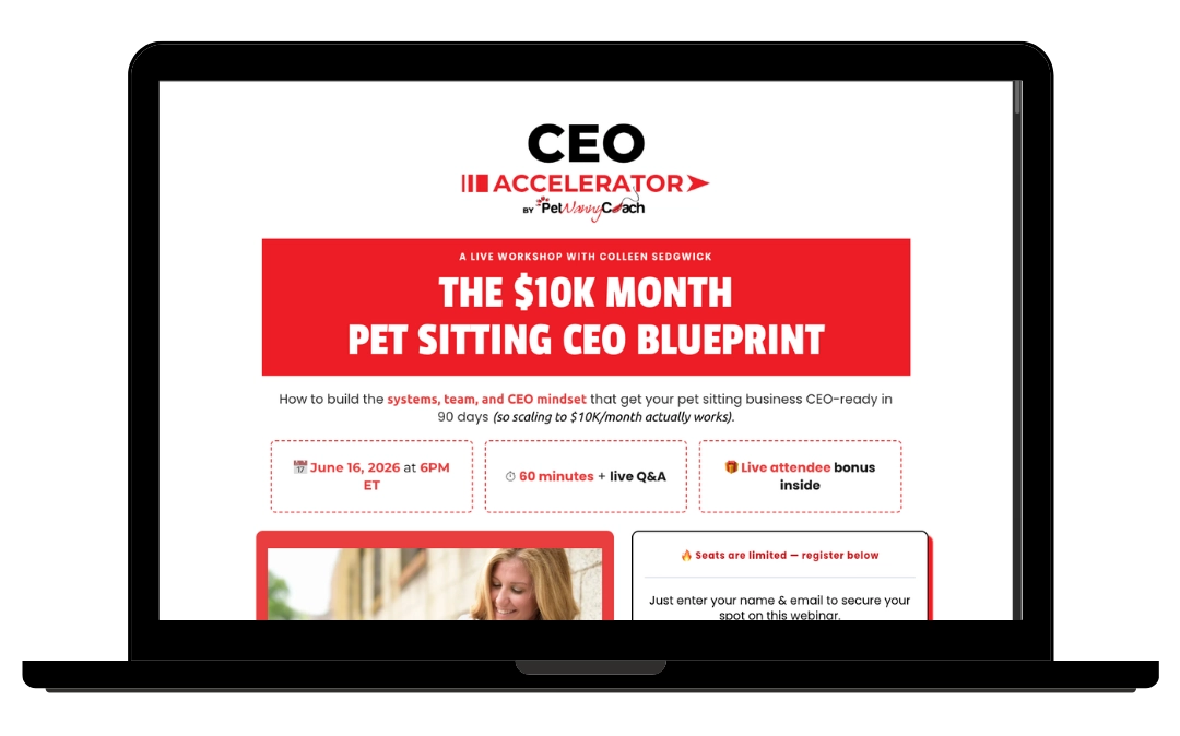 CEO Acclerator